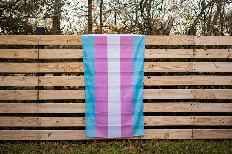 The Transgender Pride Flag: Colors, Meaning, and History